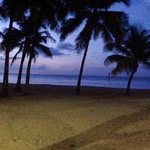 Meet your Posher, Trista